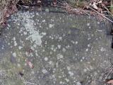 image of grave number 432586